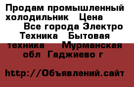 Продам промышленный холодильник › Цена ­ 40 000 - Все города Электро-Техника » Бытовая техника   . Мурманская обл.,Гаджиево г.